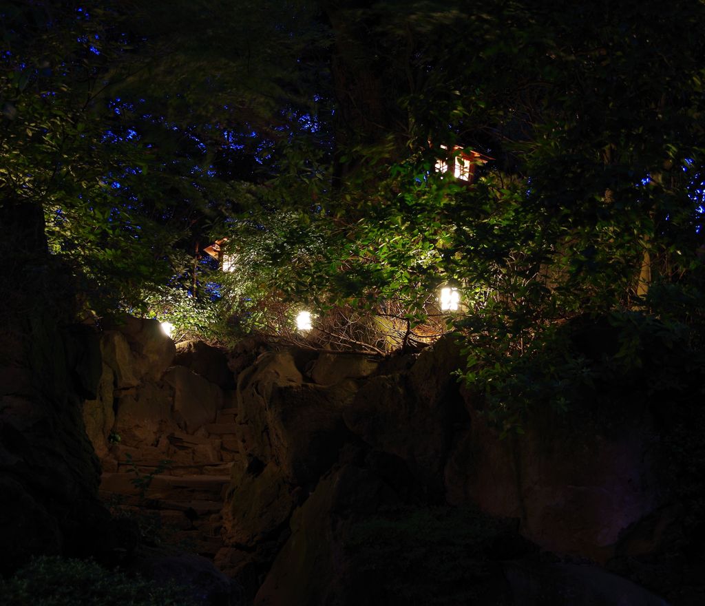 夕暮れの検見川神社
