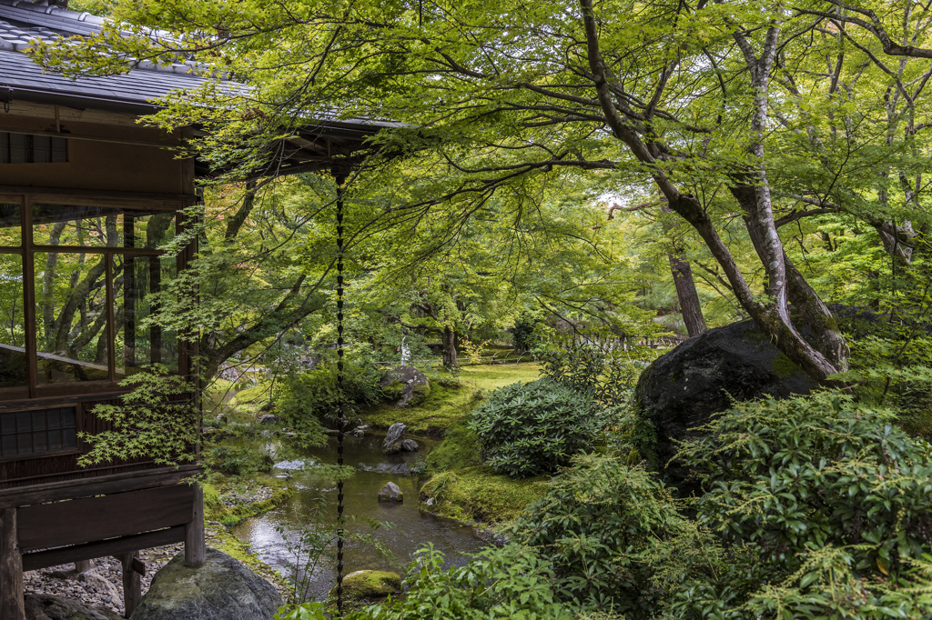 宝厳院庭園