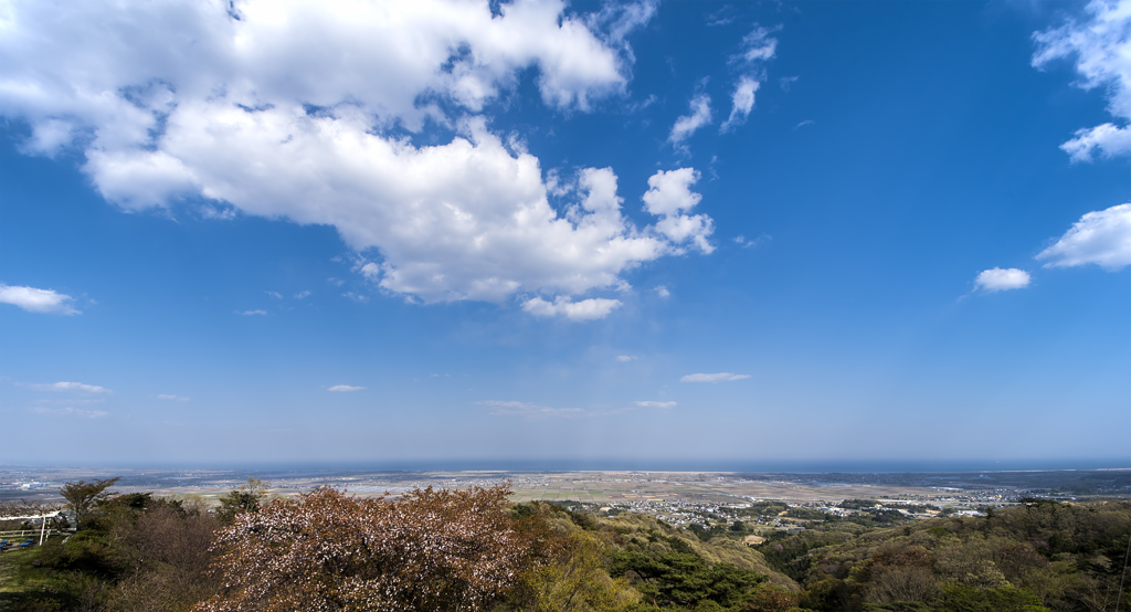 四方山から太平洋を望む