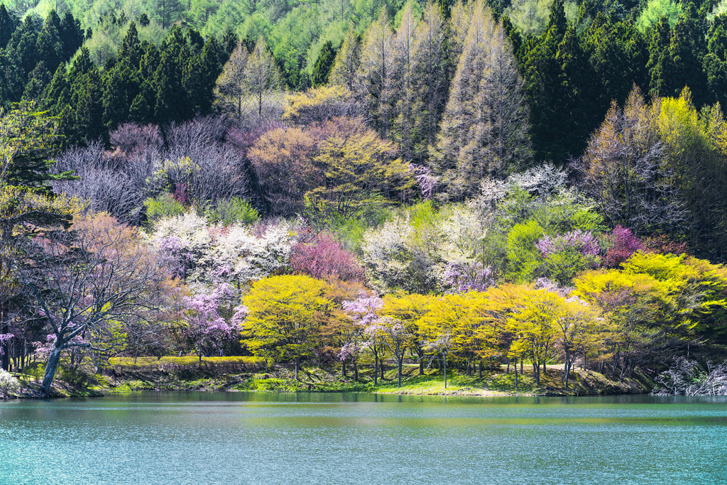半田沼畔