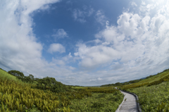 サロベツ湿原