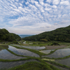 暗峠沿いの棚田