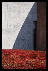 感覚ミュージアム_外観