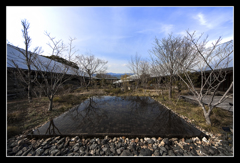 牧野富太郎記念館_中庭