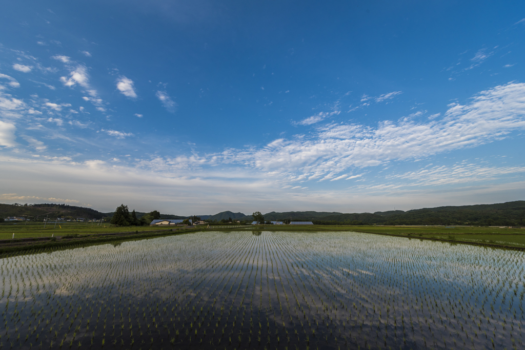 空の広い季節