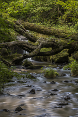 木谷沢