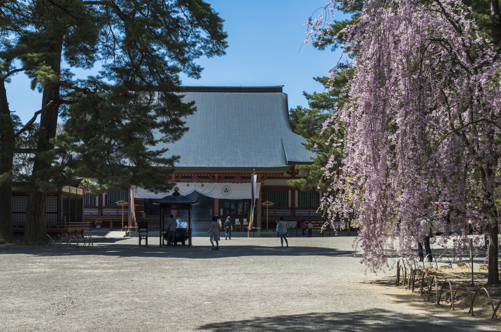 毛越寺本堂