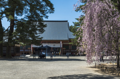 毛越寺本堂