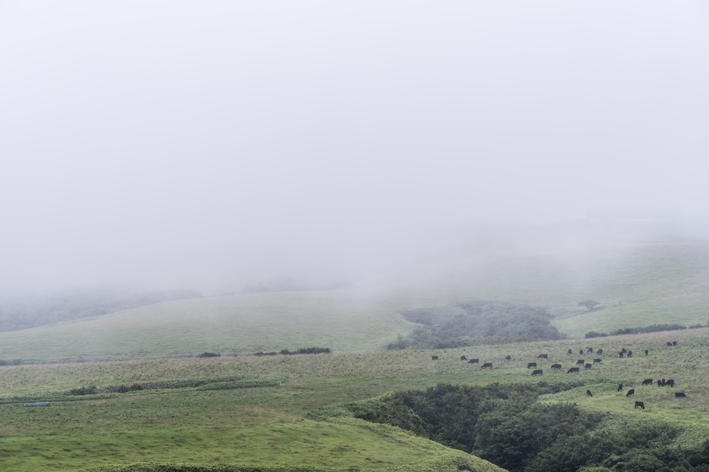 霧の宗谷丘陵