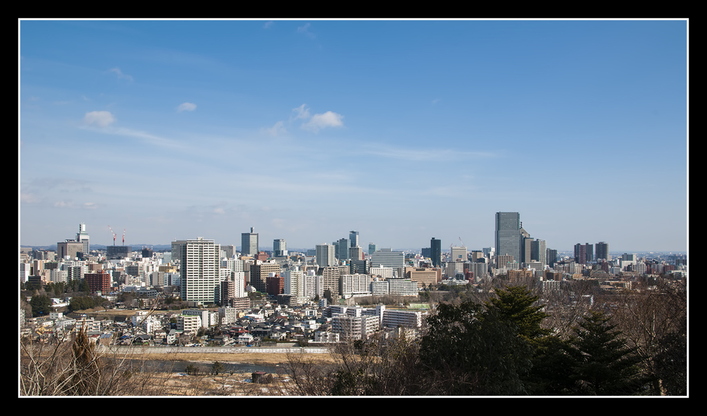 仙台市街を望む