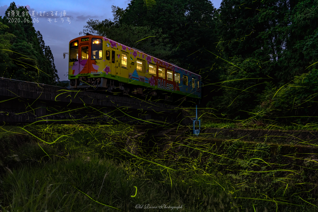 樽見鉄道ホタル列車
