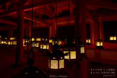 春日大社　夜間特別拝観