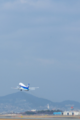青空に向かって