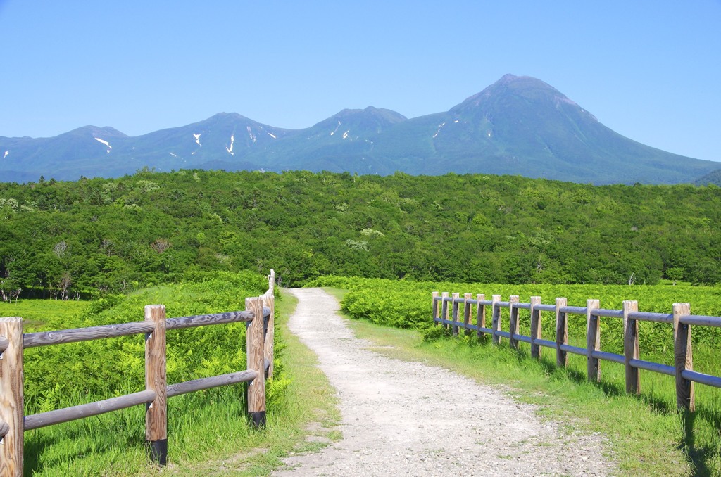 The 北海道