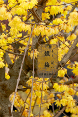 IMGP5573