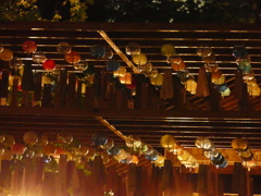 川越氷川神社風鈴祭-夜-