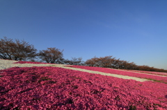 KITA-CITY