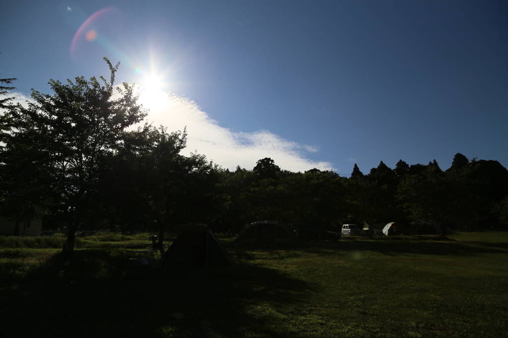 夏の日差し