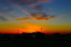 IMG_7865