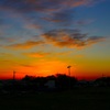 IMG_7865
