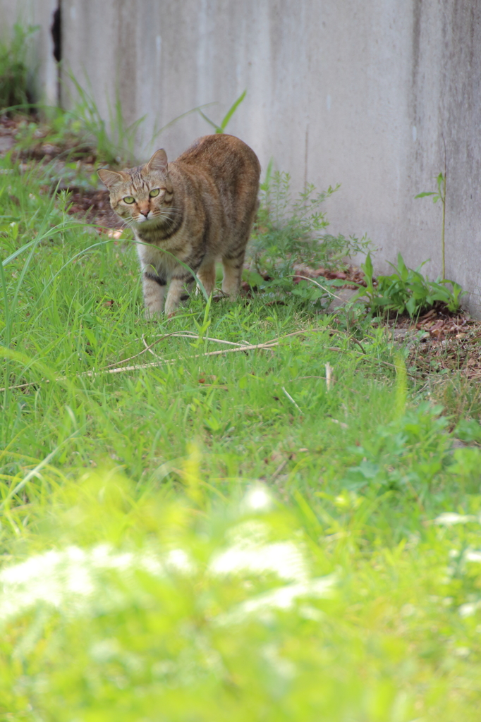 距離感