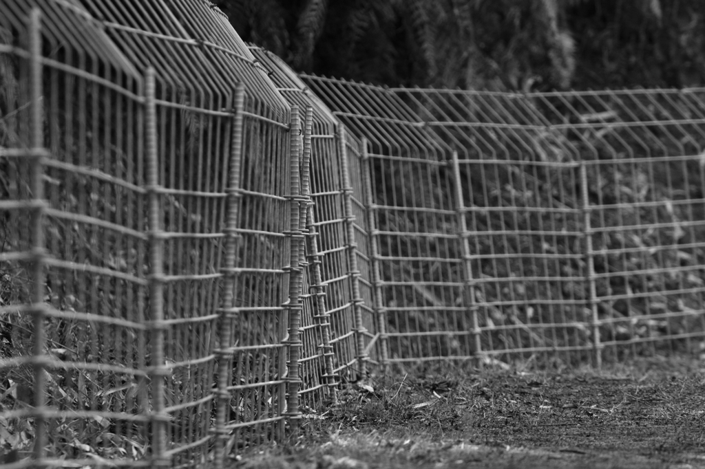 Fence