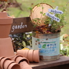 Welcome Garden!!