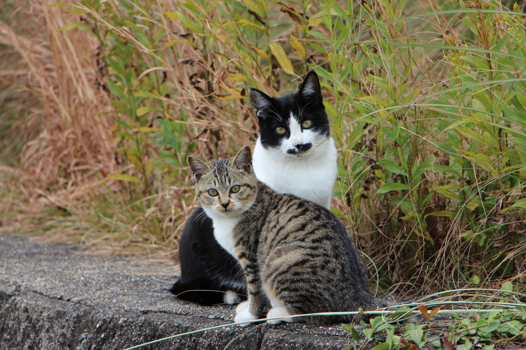 ～ まなざし×2 ～