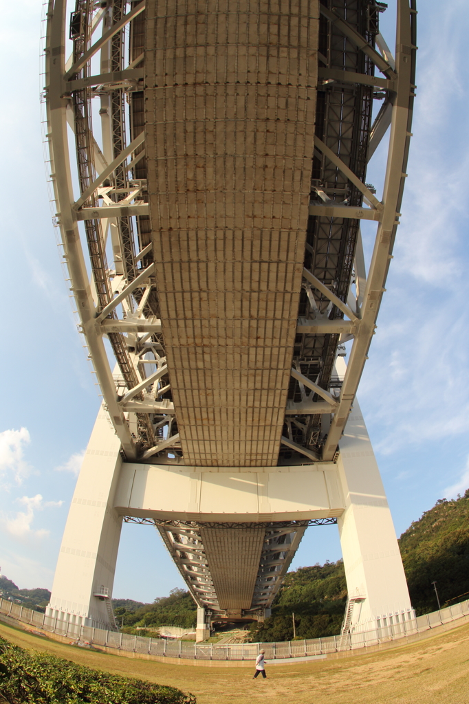 瀬戸大橋を見上げて。