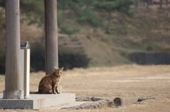 ひと休み。