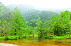 上高地　田代池