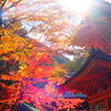 DSCF1659