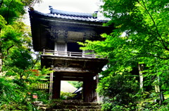 岩瀧寺山門