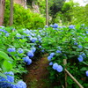 DSCF0889