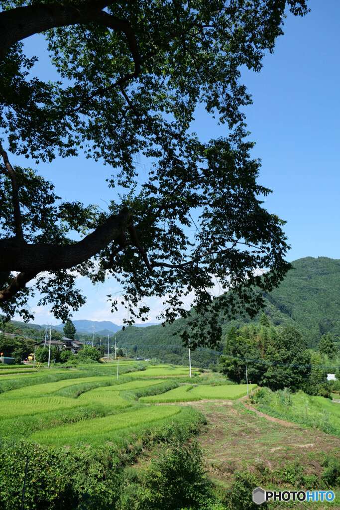 群馬県沼田市 石墨棚田広場