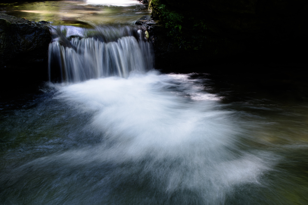 Sigma30mm F1.4試し撃ち