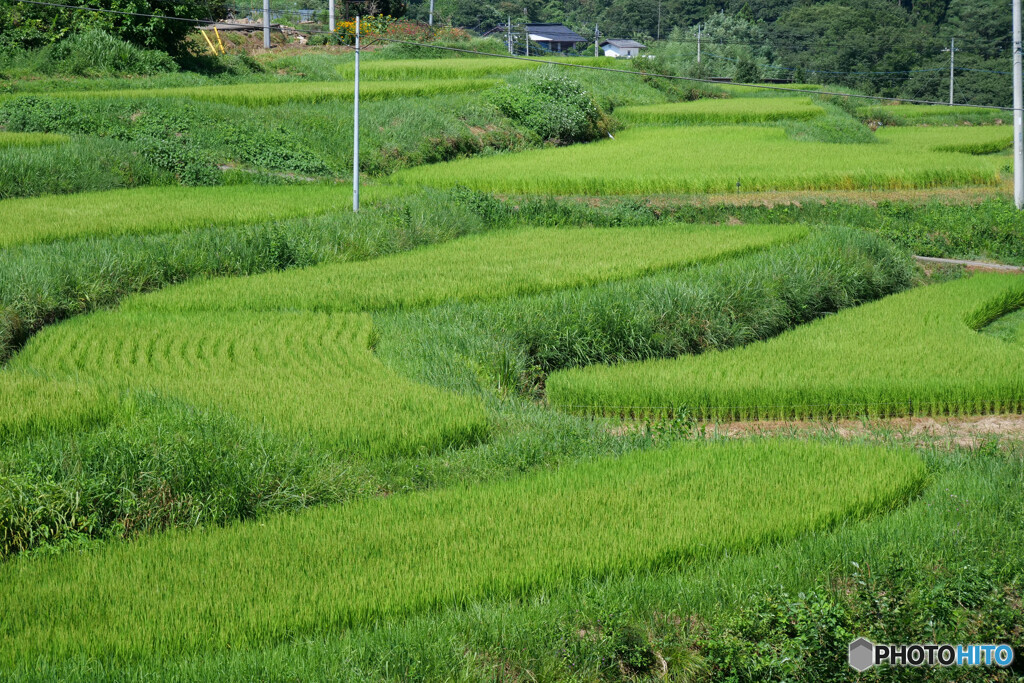 群馬県沼田市 石墨棚田広場