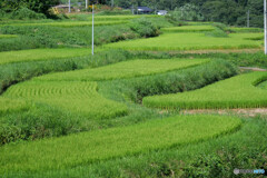 群馬県沼田市 石墨棚田広場