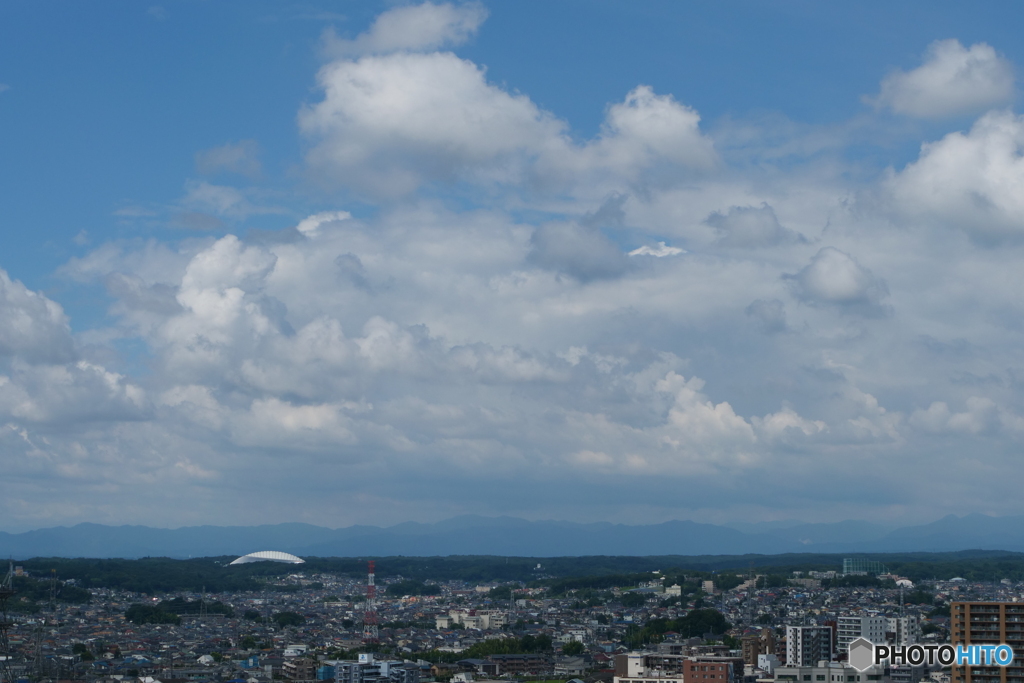 関東も梅雨明けですかねえ。
