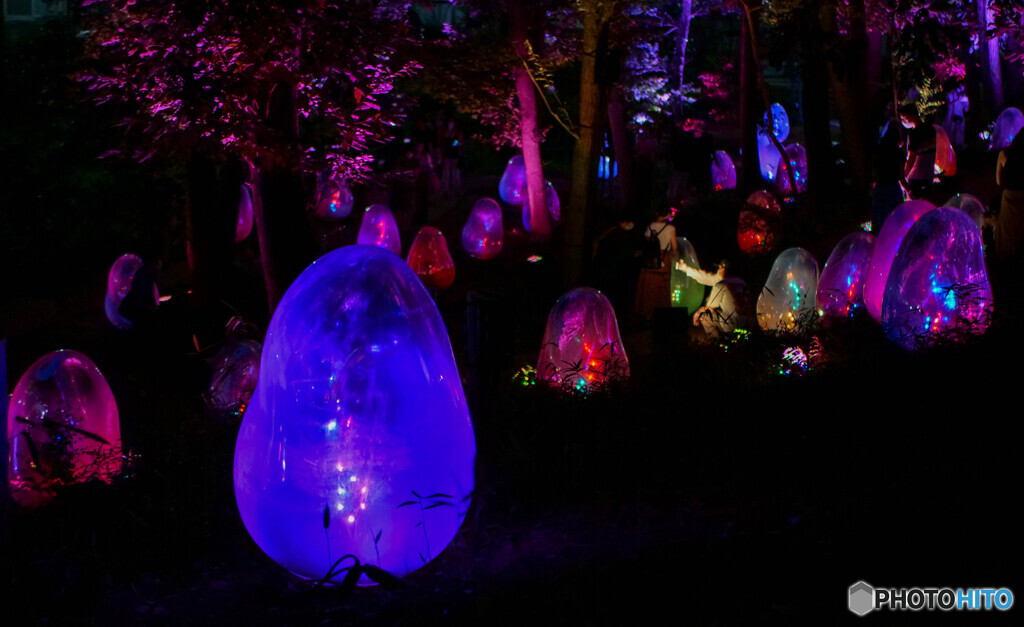 ところざわサクラタウン