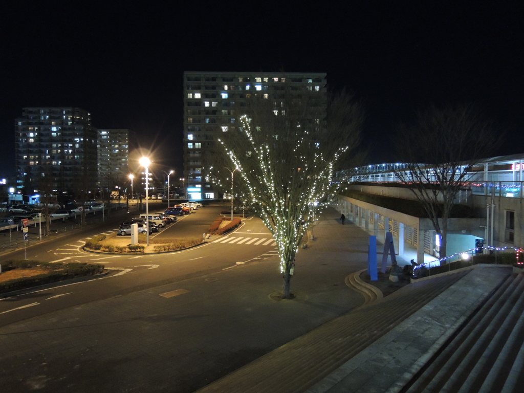 冬の駅