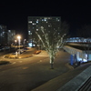 冬の駅