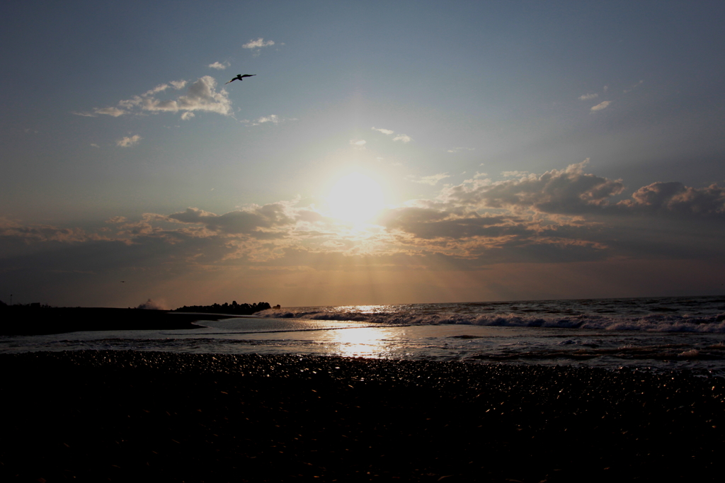 【とある海の朝】