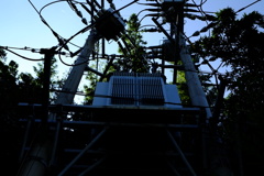 ごちゃごちゃした電柱