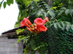 P6280104