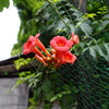 P6280104