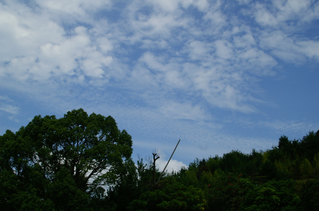 PICT0196
