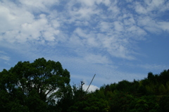 PICT0196