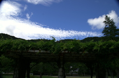 PICT3337