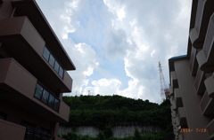 日付入